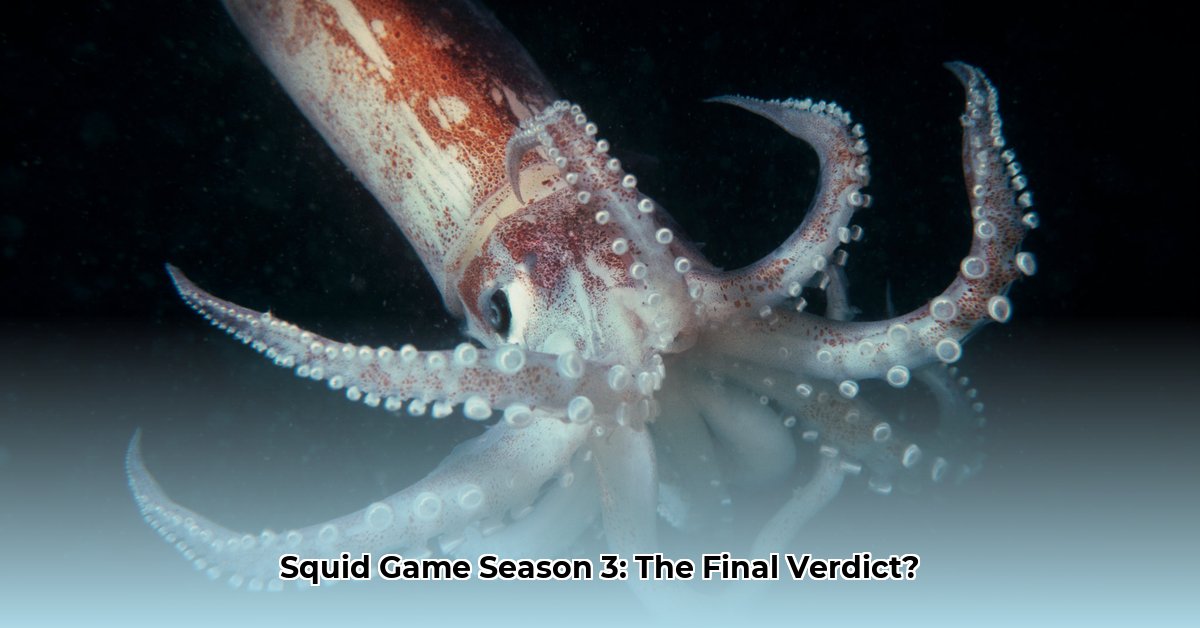 squid-game-season-3-streaming